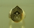 Picture of US Air force Command Chiefs Ring