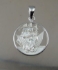 Picture of US Navy Seal Military Official Pendant