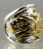 Picture of US Navy Sea Bee Rings