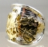 Picture of US Navy Sea Bee Rings
