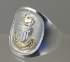 Picture of US Coast Guard Chief's Military Ring