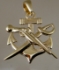Picture of US Navy Special Warfare Combatant Craft Crewman SWCC Rate Pendant