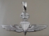Picture of US Marine Corps USMC Licensed Force Recon Pendant Traditional