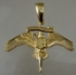 Picture of US Marine Corps USMC MARSOC Licensed Raider Special Operator pendant