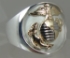 Picture of US Marine Corps USMC Classic Ring Sterling